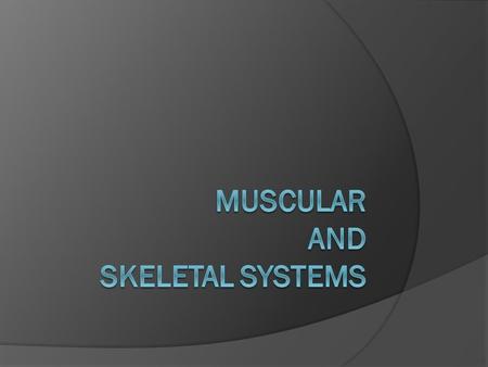Muscular System…  The body has over 600 muscles.  They are soft tissues.  Tiny jolts of electricity called electrical impulses travel through the nerves.