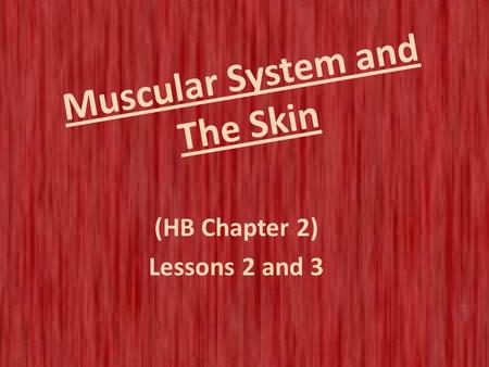 Muscular System and The Skin (HB Chapter 2) Lessons 2 and 3.