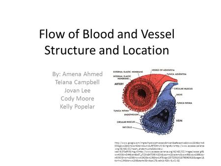 Flow of Blood and Vessel Structure and Location By: Amena Ahmed Teiana Campbell Jovan Lee Cody Moore Kelly Popelar