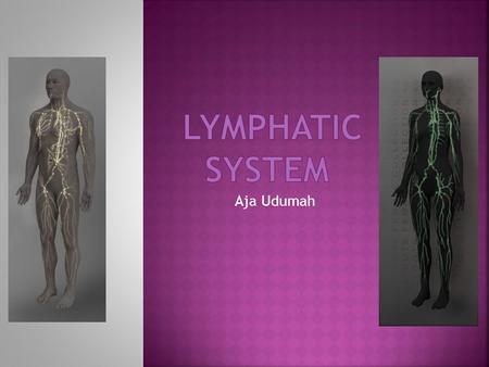 Lymphatic System Aja Udumah.
