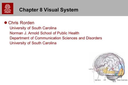 1 Chapter 8 Visual System Chris Rorden University of South Carolina Norman J. Arnold School of Public Health Department of Communication Sciences and Disorders.