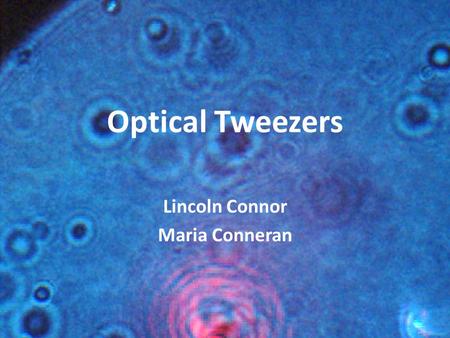 Optical Tweezers Lincoln Connor Maria Conneran. Outline Project Goals Optical tweezing theory and results Sample preparation Quadrant photodetector motivation.