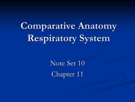 Comparative Anatomy Respiratory System
