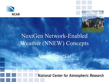 NextGen Network-Enabled Weather (NNEW) Concepts Aaron Braeckel.