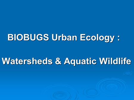 BIOBUGS Urban Ecology : Watersheds & Aquatic Wildlife.