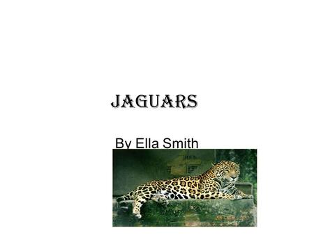 Jaguars By Ella Smith.