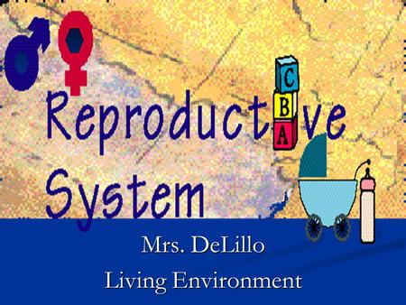 Mrs. DeLillo Living Environment