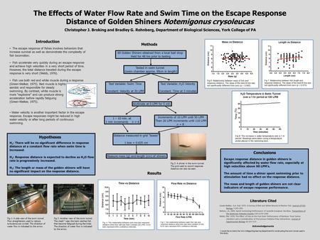 The Effects of Water Flow Rate and Swim Time on the Escape Response Distance of Golden Shiners Notemigonus crysoleucas Christopher J. Broking and Bradley.