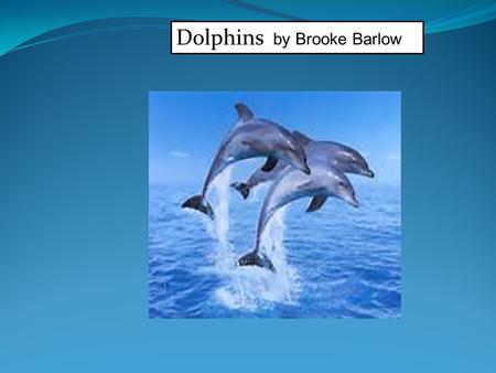 Dolphins by Brooke Barlow. Individual research A Dolphin is a mammal it can leap 10 to 20 feet in the air. There are many types of Dolphins.a Dolphins.