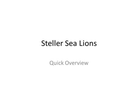 Steller Sea Lions Quick Overview.