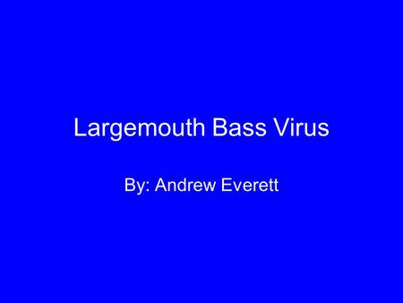 Largemouth Bass Virus By: Andrew Everett. Largemouth Bass Micropterus salmoides.