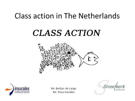 Class action in The Netherlands Mr. Bertjan de Lange Mr. Tessa Havekes.
