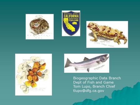 Biogeographic Data Branch Dept of Fish and Game Tom Lupo, Branch Chief