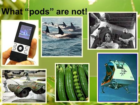 What “pods” are not!. What “pods” are… small groups of students within a Quad.