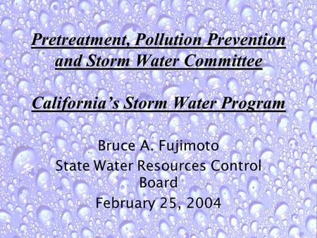 Pretreatment, Pollution Prevention and Storm Water Committee California’s Storm Water Program Bruce A. Fujimoto State Water Resources Control Board February.