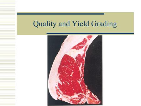 Quality and Yield Grading Beef Quality Grading  Used to predict the palatability (taste) of the meat.  Determined by the age and marbling (intramuscular.