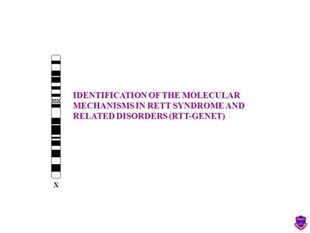 IDENTIFICATION OF THE MOLECULAR MECHANISMS IN RETT SYNDROME AND RELATED DISORDERS (RTT-GENET) X.
