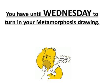 You have until WEDNESDAY to turn in your Metamorphosis drawing.
