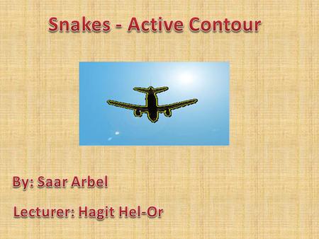 Snakes - Active Contour Lecturer: Hagit Hel-Or