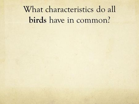 What characteristics do all birds have in common?