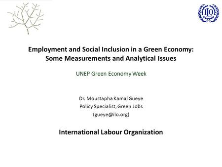 Employment and Social Inclusion in a Green Economy: Some Measurements and Analytical Issues UNEP Green Economy Week Dr. Moustapha Kamal Gueye Policy Specialist,
