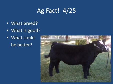 Ag Fact! 4/25 What breed? What is good? What could be better?