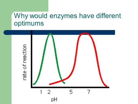 Why would enzymes have different optimums