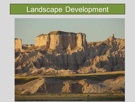 Landscape Development