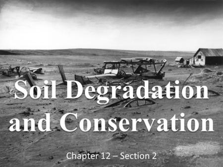 Soil Degradation and Conservation