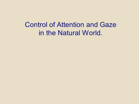 Control of Attention and Gaze in the Natural World.
