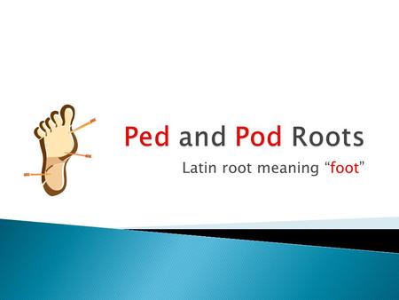 Latin root meaning “foot”