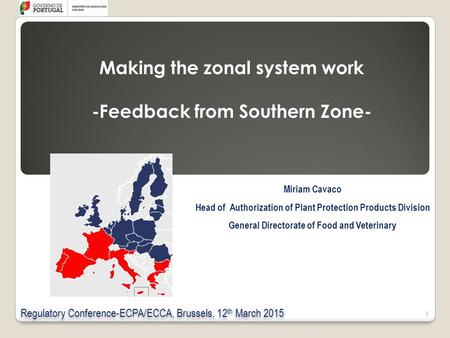Making the zonal system work -Feedback from Southern Zone-