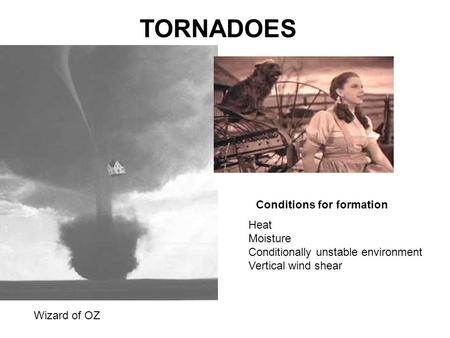TORNADOES Wizard of OZ Conditions for formation Heat Moisture Conditionally unstable environment Vertical wind shear.