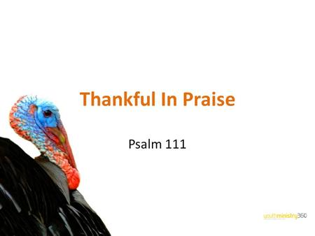Thankful In Praise Psalm 111. How Well Do You Know Your Turkey?