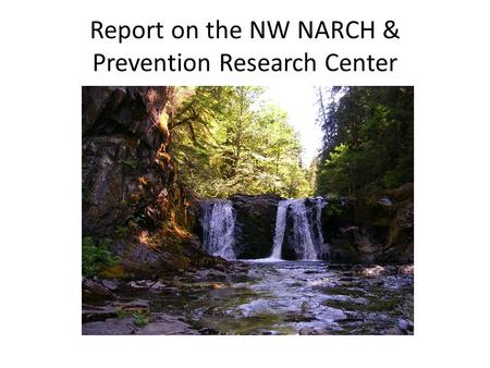 Report on the NW NARCH & Prevention Research Center.