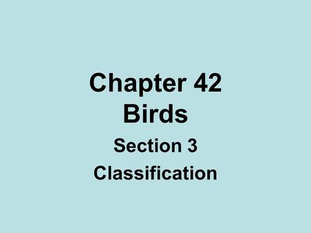 Chapter 42 Birds Section 3 Classification. Diversity Hawks & eagles- powerful beaks & clawed talons that help them capture & eat prey Swifts have tiny.