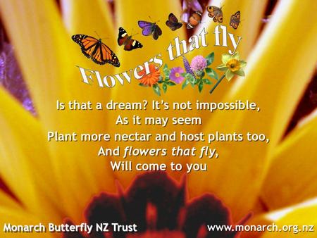Monarch Butterfly NZ Trust www.monarch.org.nz Plant more nectar and host plants too, And flowers that fly, Will come to you Is that a dream? It’s not impossible,