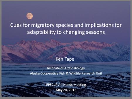 Cues for migratory species and implications for adaptability to changing seasons Ken Tape EPSCoR All-Hands Meeting May 24, 2012 Institute of Arctic Biology.