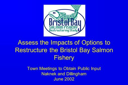 Assess the Impacts of Options to Restructure the Bristol Bay Salmon Fishery Town Meetings to Obtain Public Input Naknek and Dillingham June 2002.