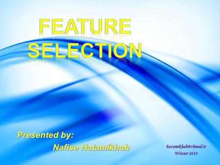 Feature Selection Presented by: Nafise Hatamikhah
