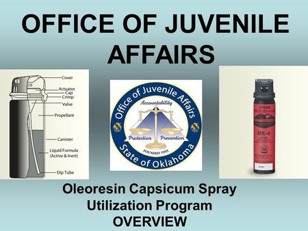 OFFICE OF JUVENILE AFFAIRS Oleoresin Capsicum Spray Utilization Program OVERVIEW.