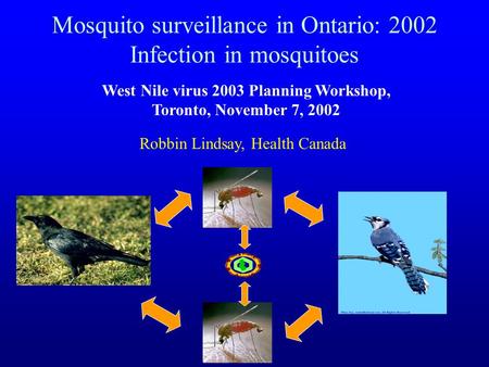 Mosquito surveillance in Ontario: 2002 Infection in mosquitoes West Nile virus 2003 Planning Workshop, Toronto, November 7, 2002 Robbin Lindsay, Health.