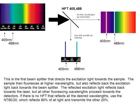 HFT 405,488 488nm 405nm 488nm 405nm Only 405 and 488 are reflected All other wavelengths are transmitted 488nm 405nm This is the first beam splitter that.