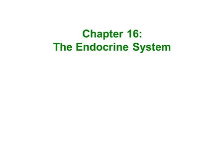 Chapter 16: The Endocrine System.