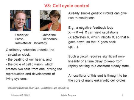 8. Lecture WS 2010/11Cellular Programs1 Already simple genetic circuits can give rise to oscillations. E.g., a negative feedback loop X  R ─┤ X can yield.