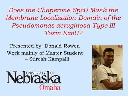 Does the Chaperone SpcU Mask the Membrane Localization Domain of the Pseudomonas aeruginosa Type III Toxin ExoU? Presented by: Donald Rowen Work mainly.