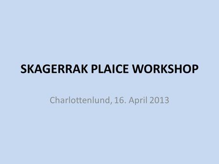 SKAGERRAK PLAICE WORKSHOP Charlottenlund, 16. April 2013.