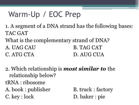 Warm-Up / EOC Prep 1. A segment of a DNA strand has the following bases: TAC GAT What is the complementary strand of DNA? A. UAG CAU B. TAG CAT C. ATG.