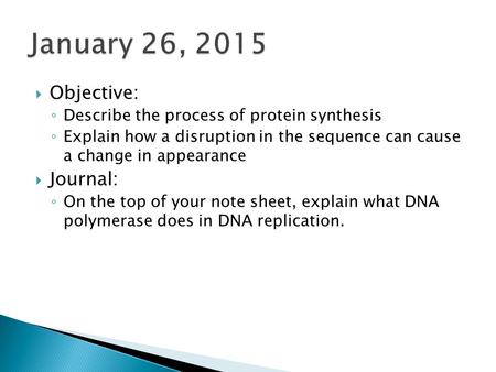  Objective: ◦ Describe the process of protein synthesis ◦ Explain how a disruption in the sequence can cause a change in appearance  Journal: ◦ On the.