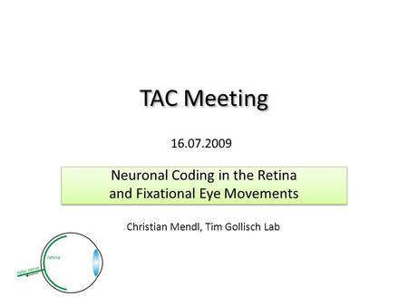 TAC Meeting Neuronal Coding in the Retina and Fixational Eye Movements Neuronal Coding in the Retina and Fixational Eye Movements 16.07.2009 Christian.